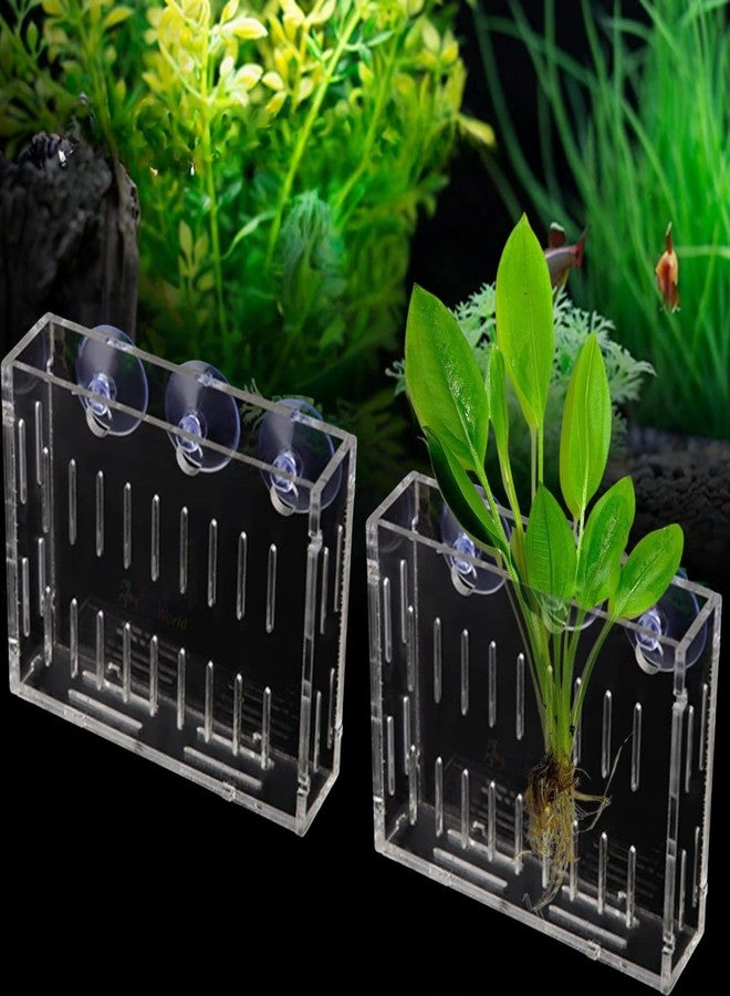 VAYINATO® 2 Pcs (Large-10CM) Acrylic Transparent Water Plant Holder with Strong Suction Cup for Aquarium Fish Tank, Aquaponic Plant Growing Landscape Decoration Water Plants by Petzlifeworld - Image 1